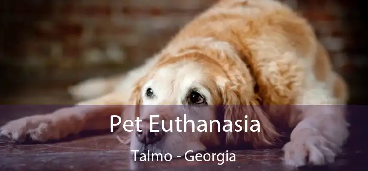 Pet Euthanasia Talmo - Georgia