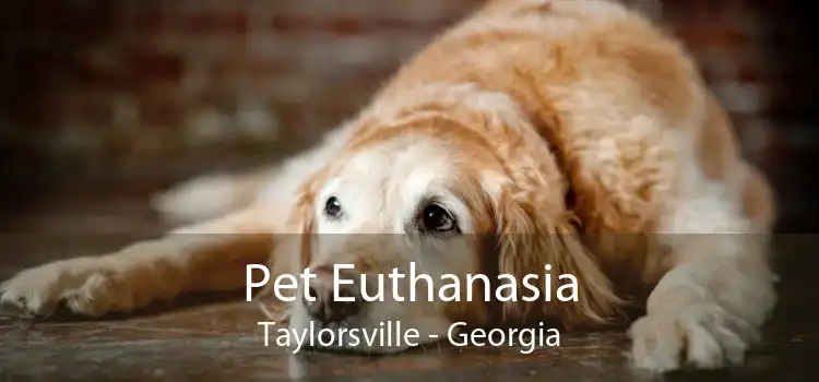 Pet Euthanasia Taylorsville - Georgia