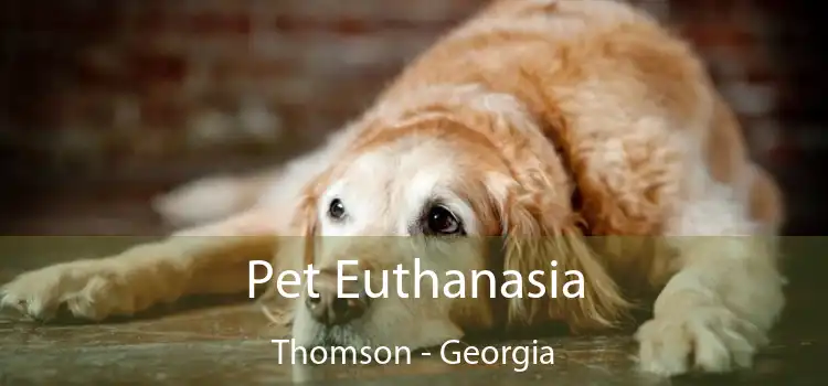 Pet Euthanasia Thomson - Georgia