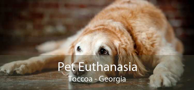 Pet Euthanasia Toccoa - Georgia