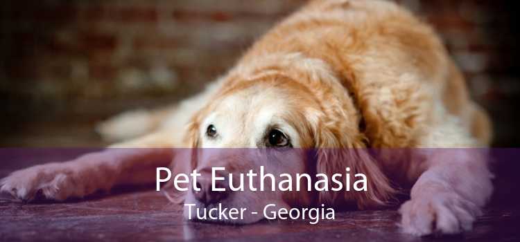 Pet Euthanasia Tucker - Georgia