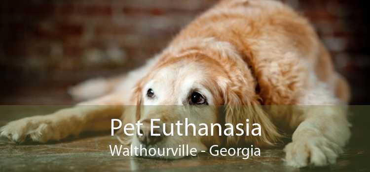 Pet Euthanasia Walthourville - Georgia