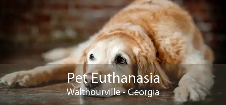 Pet Euthanasia Walthourville - Georgia