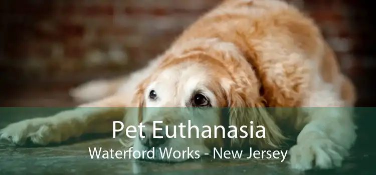 Pet Euthanasia Waterford Works - New Jersey