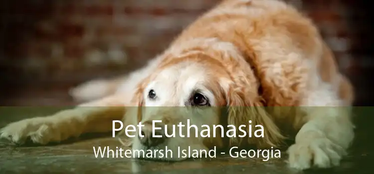 Pet Euthanasia Whitemarsh Island - Georgia