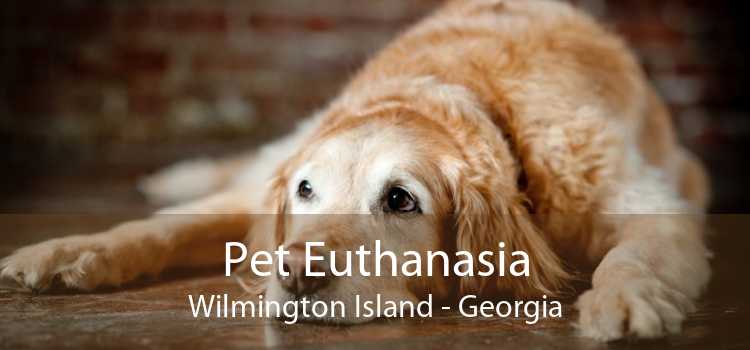 Pet Euthanasia Wilmington Island - Georgia
