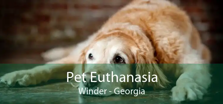 Pet Euthanasia Winder - Georgia