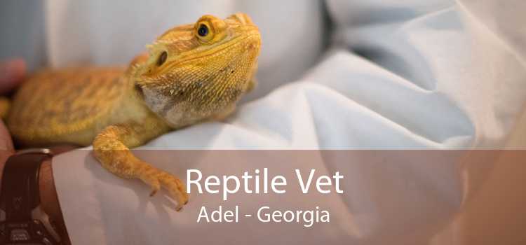 Reptile Vet Adel - Georgia
