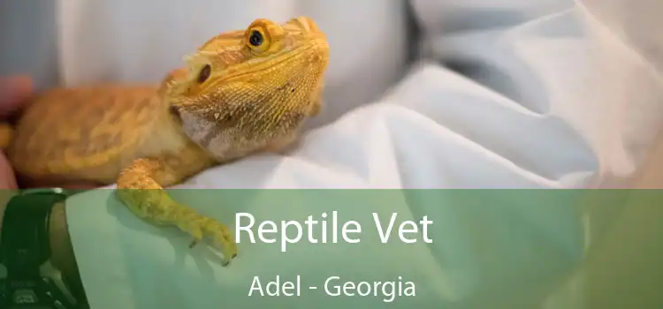 Reptile Vet Adel - Georgia