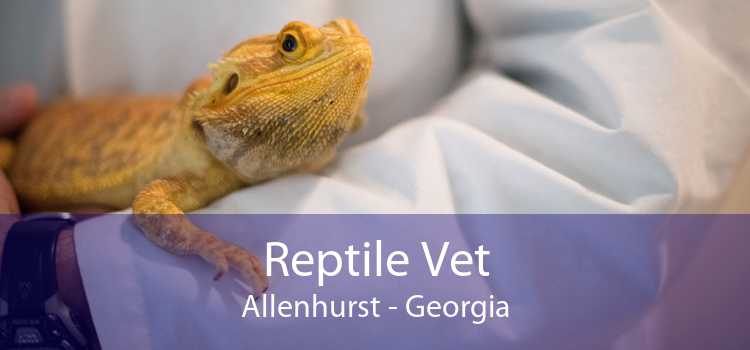 Reptile Vet Allenhurst - Georgia