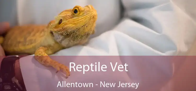 Reptile Vet Allentown - New Jersey