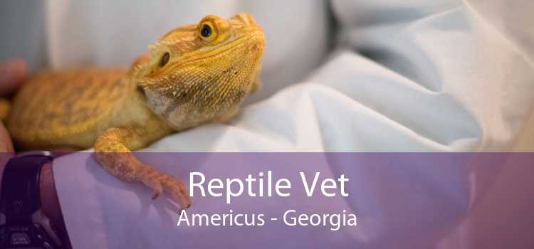 Reptile Vet Americus - Georgia