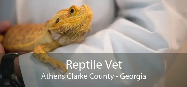 Reptile Vet Athens Clarke County - Georgia