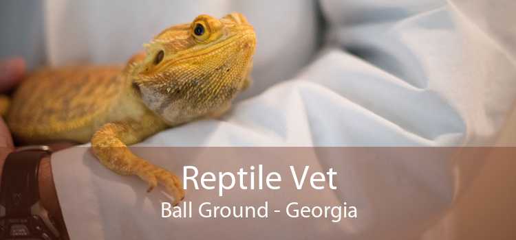 Reptile Vet Ball Ground - Georgia