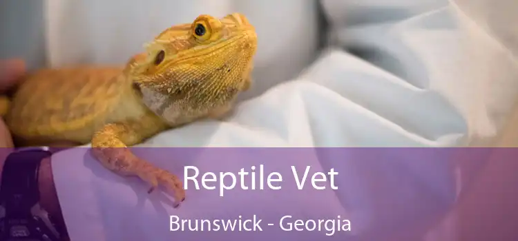 Reptile Vet Brunswick - Georgia