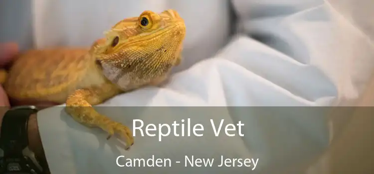 Reptile Vet Camden - New Jersey