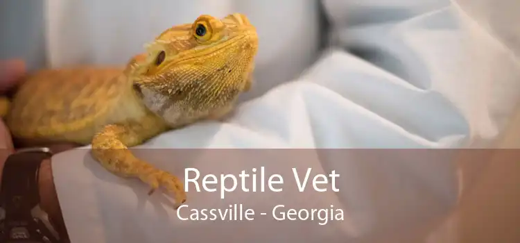 Reptile Vet Cassville - Georgia