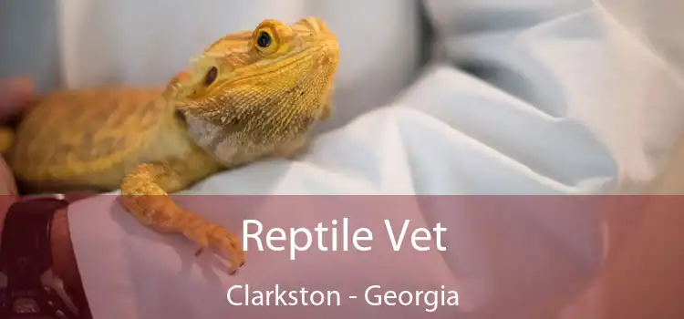 Reptile Vet Clarkston - Georgia