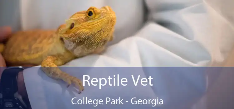 Reptile Vet College Park - Georgia