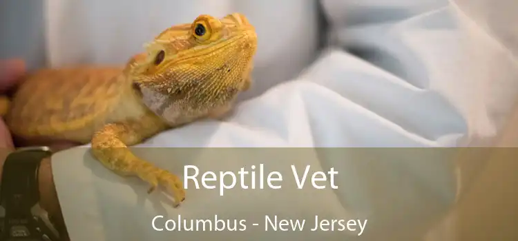 Reptile Vet Columbus - New Jersey