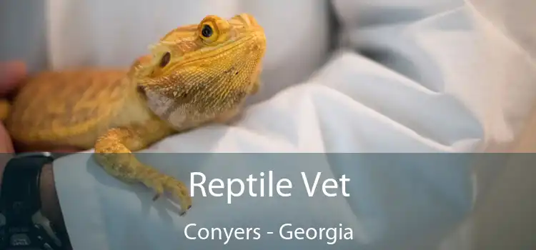 Reptile Vet Conyers - Georgia