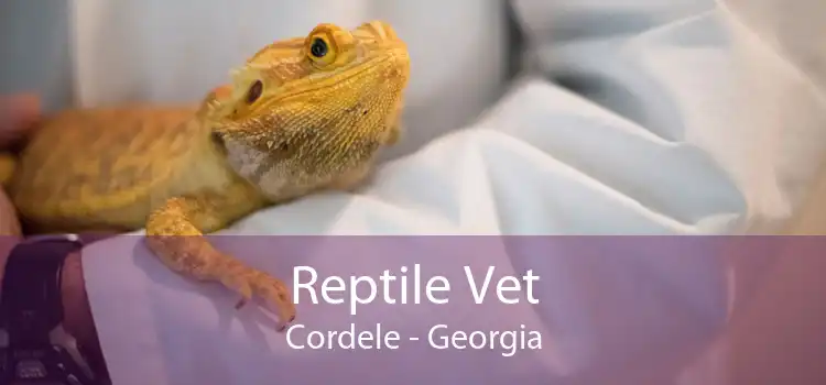 Reptile Vet Cordele - Georgia