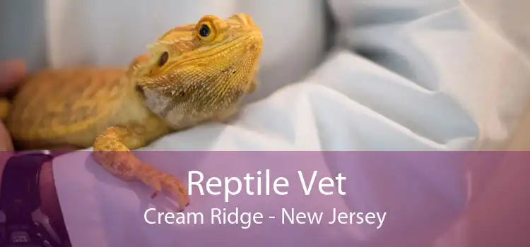 Reptile Vet Cream Ridge - New Jersey