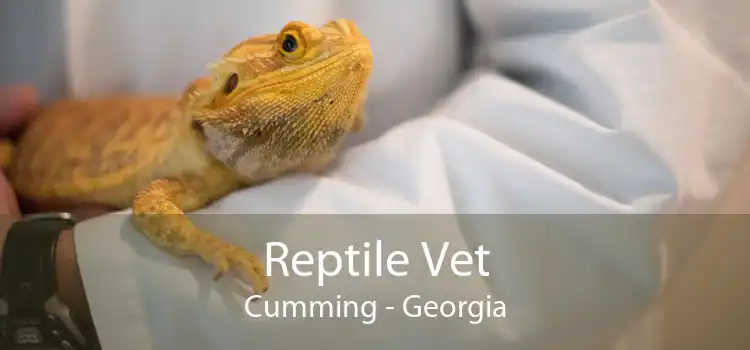 Reptile Vet Cumming - Georgia