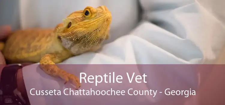 Reptile Vet Cusseta Chattahoochee County - Georgia