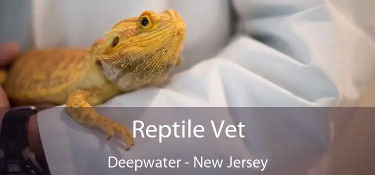 Reptile Vet Deepwater - New Jersey