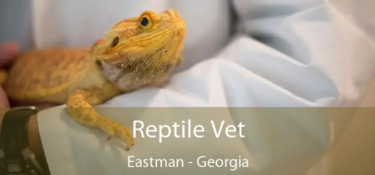 Reptile Vet Eastman - Georgia