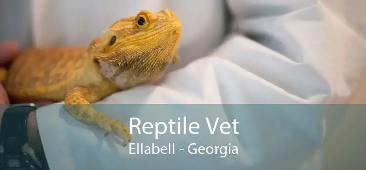 Reptile Vet Ellabell - Georgia