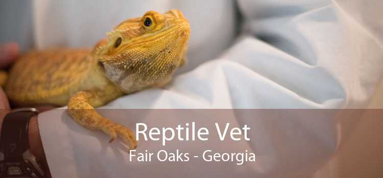 Reptile Vet Fair Oaks - Georgia