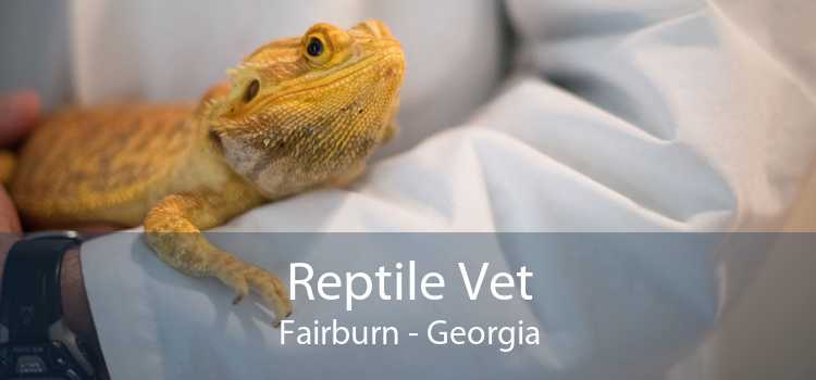 Reptile Vet Fairburn - Georgia