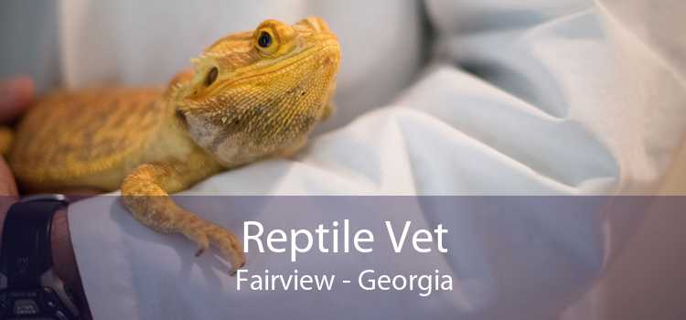 Reptile Vet Fairview - Georgia