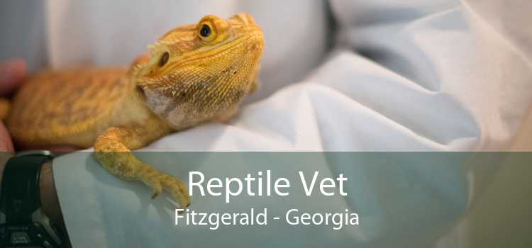 Reptile Vet Fitzgerald - Georgia