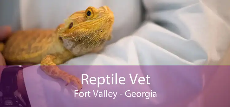 Reptile Vet Fort Valley - Georgia