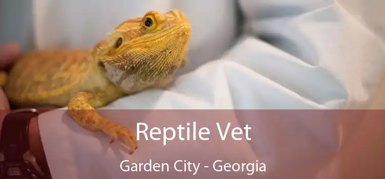 Reptile Vet Garden City - Georgia