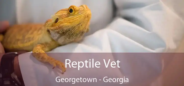 Reptile Vet Georgetown - Georgia