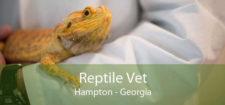 Reptile Vet Hampton - Georgia