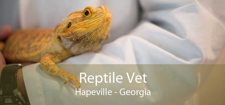 Reptile Vet Hapeville - Georgia