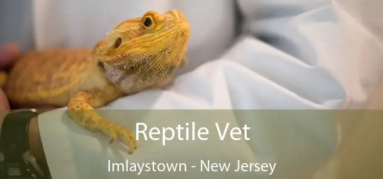 Reptile Vet Imlaystown - New Jersey