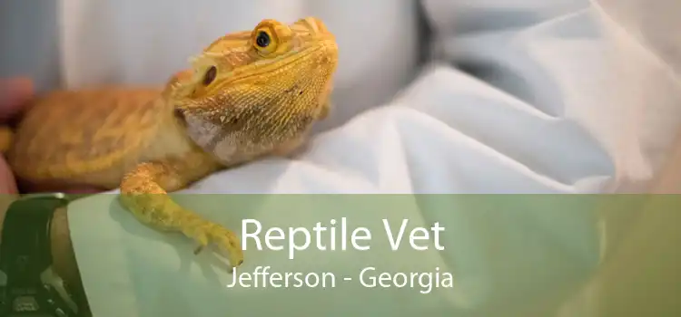 Reptile Vet Jefferson - Georgia