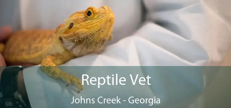 Reptile Vet Johns Creek - Georgia