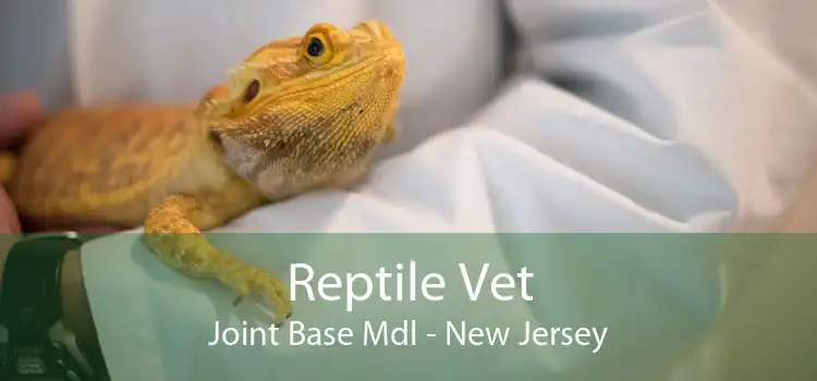 Reptile Vet Joint Base Mdl - New Jersey