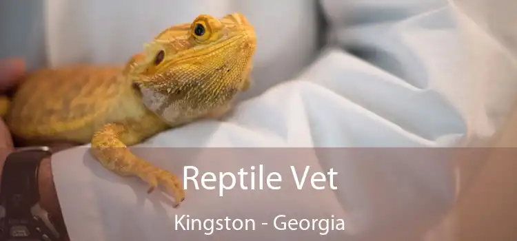 Reptile Vet Kingston - Georgia