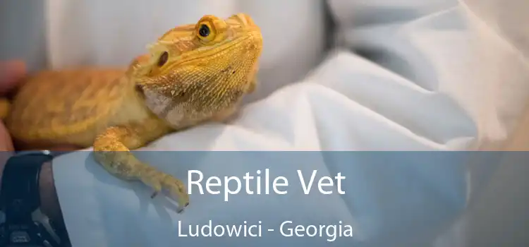 Reptile Vet Ludowici - Georgia