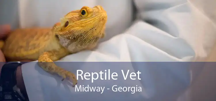 Reptile Vet Midway - Georgia