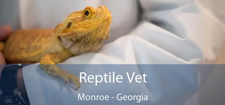 Reptile Vet Monroe - Georgia