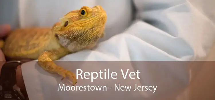 Reptile Vet Moorestown - New Jersey